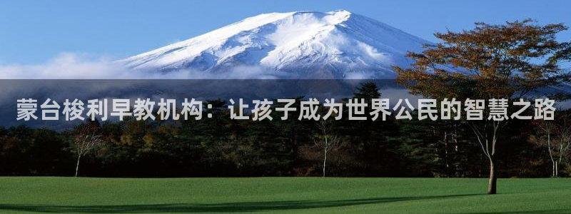 恒行娱乐登录5ll533主管一流:蒙台梭利早教机构:让孩子成为世界公民的智慧之路