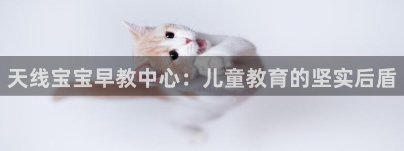 恒行娱乐景74ooo5诿抢:天线宝宝早教中心:儿童教育的坚实后盾