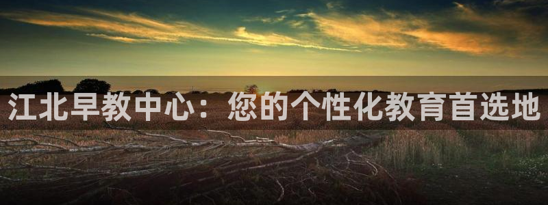 恒行开户娱乐6ll5l特惠：江北早教中心：您的个性化教育首选地