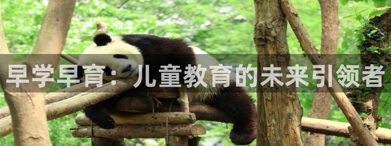 恒行2沈74OOO5:早学早育:儿童教育的未来引领者