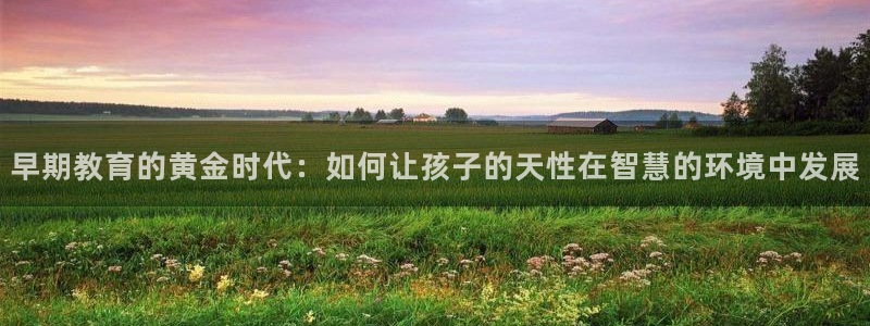 恒行2吕74OOO5:早期教育的黄金时代:如何让孩子的天性在智慧的环境中发展