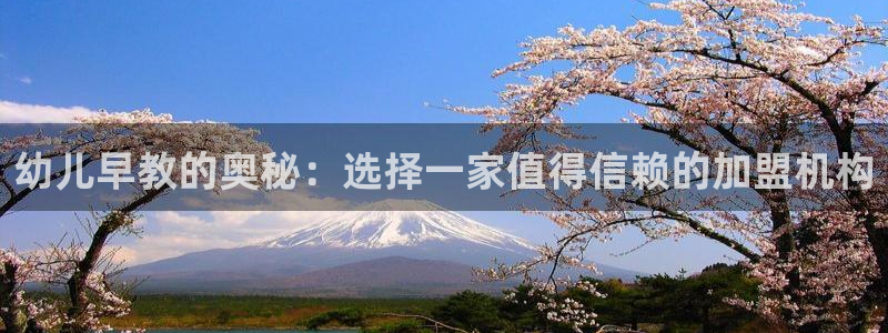 恒行娱乐度74ooo5聘霖:幼儿早教的奥秘:选择一家值得信赖的加盟机构