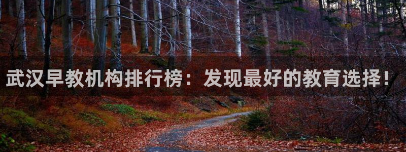 恒行娱乐登录信用 74ooo5：武汉早教机构排行榜：发现最好的教育选择！