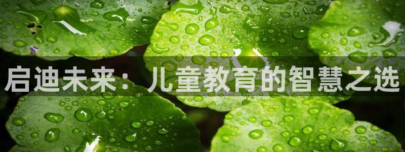 恒行2下74OOO5：启迪未来：儿童教育的智慧之选