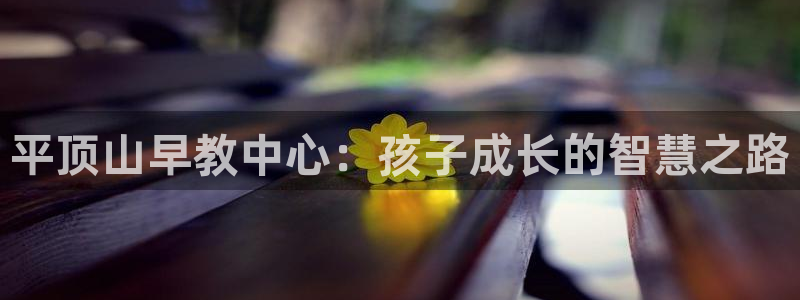恒行2杨74OOO5：平顶山早教中心：孩子成长的智慧之路
