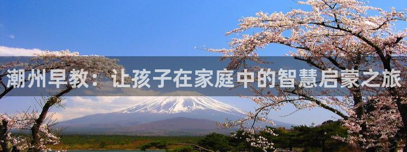 恒行5：潮州早教：让孩子在家庭中的智慧启蒙之旅