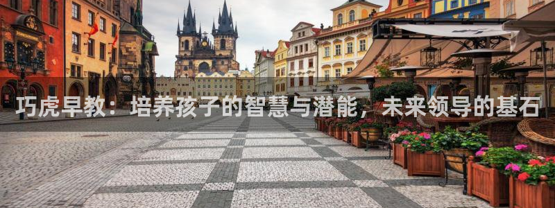 恒行2吴74OOO5：巧虎早教：培养孩子的智慧与潜能，未来领导的基石