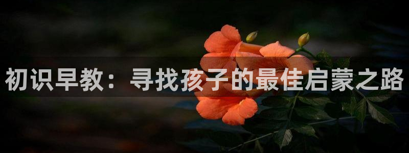 恒行开户娱乐6ll5l特惠：初识早教：寻找孩子的最佳启蒙之路