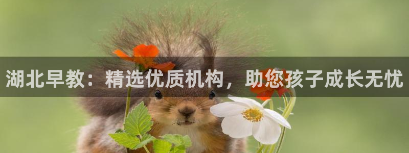 恒行主管招收 6ll5l出奇：湖北早教：精选优质机构，助您孩子成长无忧