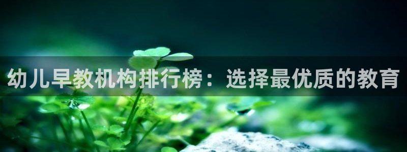 恒行主管招收 6ll5l出奇：幼儿早教机构排行榜：选择最优质的教育