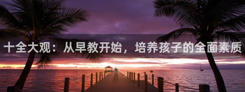 恒行2吕74OOO5：十全大观：从早教开始，培养孩子的全面素质