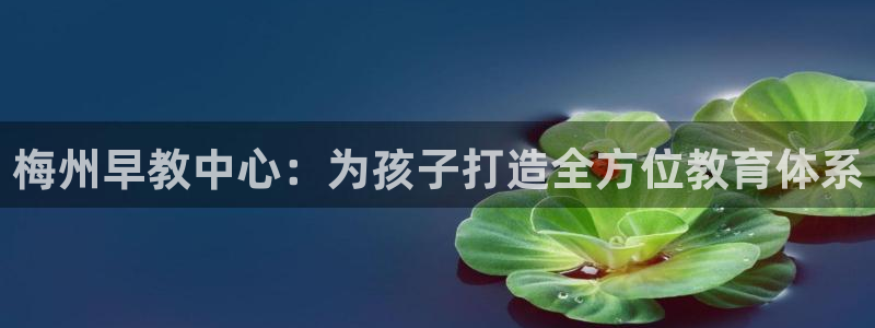 恒行2王74OOO5：梅州早教中心：为孩子打造全方位教育体系