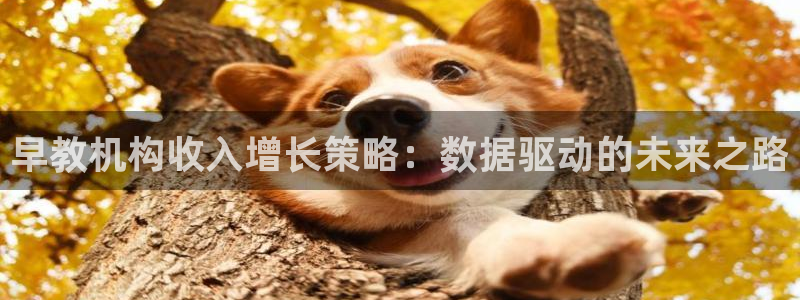 恒行2吕74OOO5：早教机构收入增长策略：数据驱动的未来之路