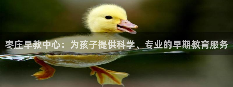 恒行3乃5O6917：枣庄早教中心：为孩子提供科学、专业的早期教育服务