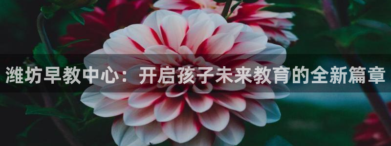 恒行2杨74OOO5：潍坊早教中心：开启孩子未来教育的全新篇章