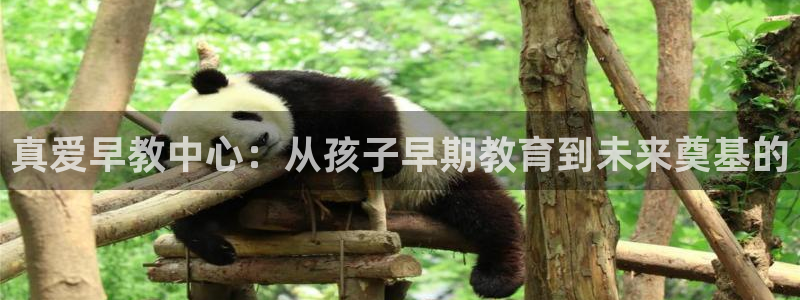 恒行主管6ll5l指定：真爱早教中心：从孩子早期教育到未来奠基的