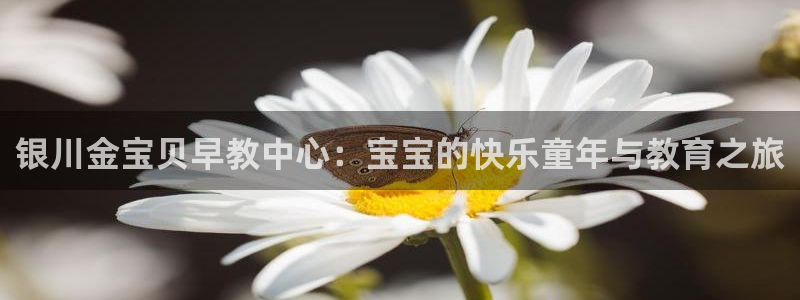 恒行2吴74OOO5：银川金宝贝早教中心：宝宝的快乐童年与教育之旅