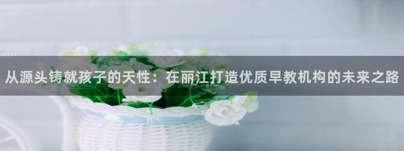 恒行2沈74OOO5：从源头铸就孩子的天性：在丽江打造优质早教机构的未来之路