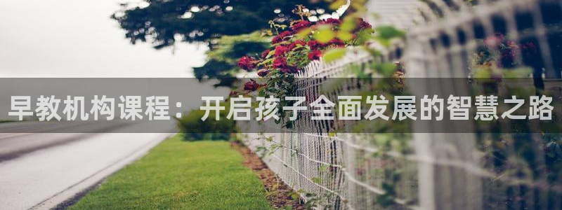 恒行2那74OOO5：早教机构课程：开启孩子全面发展的智慧之路
