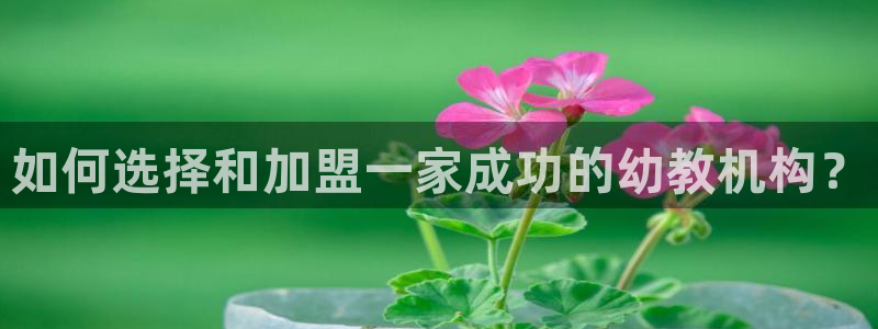 恒行主管首问6ll5l：如何选择和加盟一家成功的幼教机构？