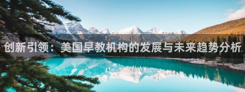 恒行2沈74OOO5:创新引领:美国早教机构的发展与未来趋势分析