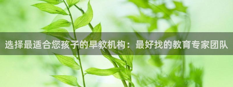 恒行2郑74OOO5:选择最适合您孩子的早教机构:最好找的教育专家团队