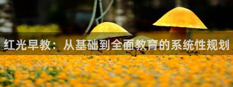 恒行娱乐冯74OOO5:红光早教:从基础到全面教育的系统性规划